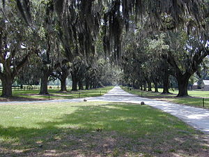 Boone Hall in Mount Pleasant