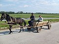 Мініатюра для версії від 15:08, 12 серпня 2017