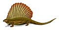 エダフォサウルス Edaphosaurus