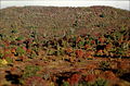 Graveyard Fields in Autumn