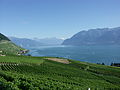 Image 3Lavaux vineyards (from Culture of Switzerland)