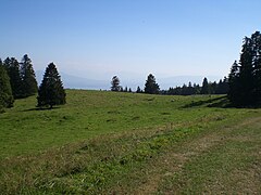 Vue depuis le Mont Tendre (Jura)