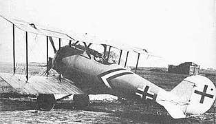 Paul Baumer's Pfalz D.VIII