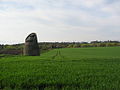 The doocot and field