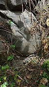 Pillow basalt from Baras, Rizal Province, Philippines