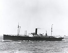 SS Medina in New York on her maiden voyage, passed in front of the Statue of Liberty in 1914.