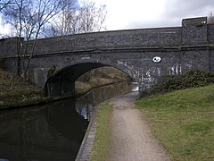 Soho Loop Asylum Bridge