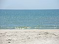 Beach at St. George Island