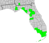 Map of Georgia and Florida with county boundaries and distribution of Symphyotrichum fontinale shaded in green: Georgia counties — Grady; Florida counties — Alachua, Citrus, Collier, Dixie, Lee, Liberty, Marion, Miami-Dade, Monroe, Pasco, and Taylor