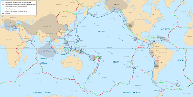 プレートの詳細な位置図