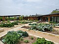 The Zachry Foundation Culinary Garden at the San Antonio Botanical Garden in 2022.