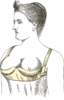 Patent for Marie Tucek's underwire bra