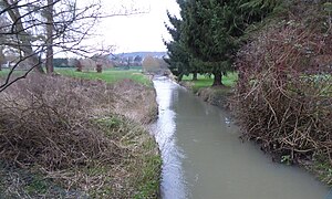 Bras naturel vu vers le golf