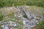 Dolmen de la Fontubière n°1