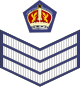 Flight Sergeant