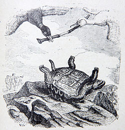 Image illustrative de l’article La Tortue et les Deux Canards