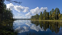 Mörtsjön; Bäckviken