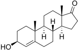 Skeletal formula of 4-dehydroepiandrosterone