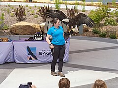 Ambassador Latsch during a program in the Riverfront Amphitheater.