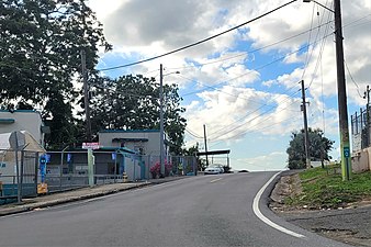 Northern terminus at PR-164 junction in Palmarejo, Corozal, heading south