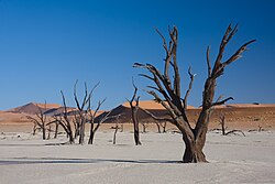 Deadvlei, Namib-Naukluft National Park, Namibia