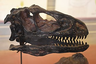 Deinonychus.