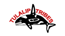 The Flag of the Tulalip Tribes. It is a white sheet with an orca drawn in the traditional style, with the words "Tulalip Tribes" written in red over the orca's back and separated by its dorsal fin