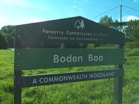 “Boden Boo”林地