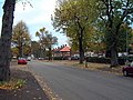 Gregory Avenue in autumn