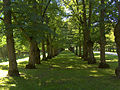 Parc de la Cour d'appel.