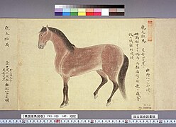 Dessin d'un cheval persan importé à Nagasaki, tiré d'une reproduction du Ikokusanba zukan réalisé sous Tokugawa Yoshimune.