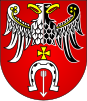 Brzeziny County