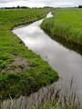 The Pingjumer Golden Collar southwest of Pingjum in 2011