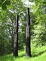 Two Charred Vessels (1997). Skulpturenpark Sculpture at Schoenthal