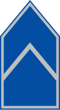 Rank insignia of a US Air Force Junior ROTC Cadet 2nd Lieutenant