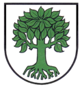 Brasão de Bubsheim