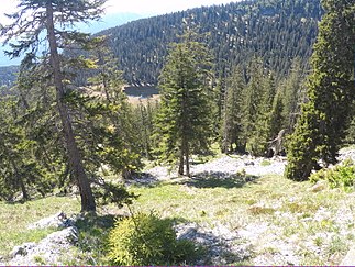 Typische Landschaft, hier im Estergebirge mit Wildsee