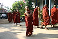 Monks at Buddhist Temple