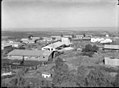 Ayalon 1946