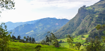 2 Panorámica vereda