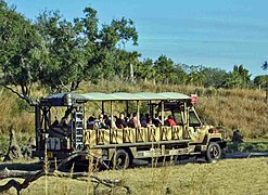 Kilimanjaro Safaris à Disney's Animal Kingdom