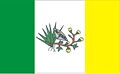 Bandeira de Picuí