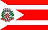 Flag of Américo de Campos