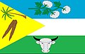 Bandeira de Ibiquera