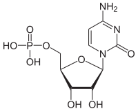 Struktur von Cytidinmonophosphat