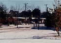 A fuzzy photograph of a row of houses covered in snow and surrounded by trees and electrical poles all under a clear, light blue sky