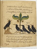 Kalila wa Dimna BNF Arabe 3465, folio 95v. Animal scene
