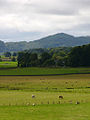 Paysage autour de Kilmartin.