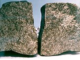 Fragments of the Nakhla meteorite