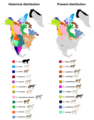 North American wolf subspecies distribution